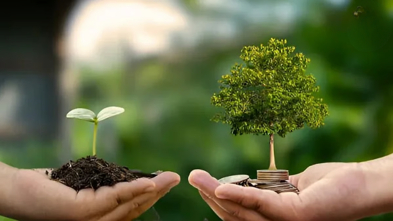 🌳 एडाॅप्ट अ ट्री — नागरिकांना झाड प्रायोजित आणि मॉनिटर करण्याची सुविधा